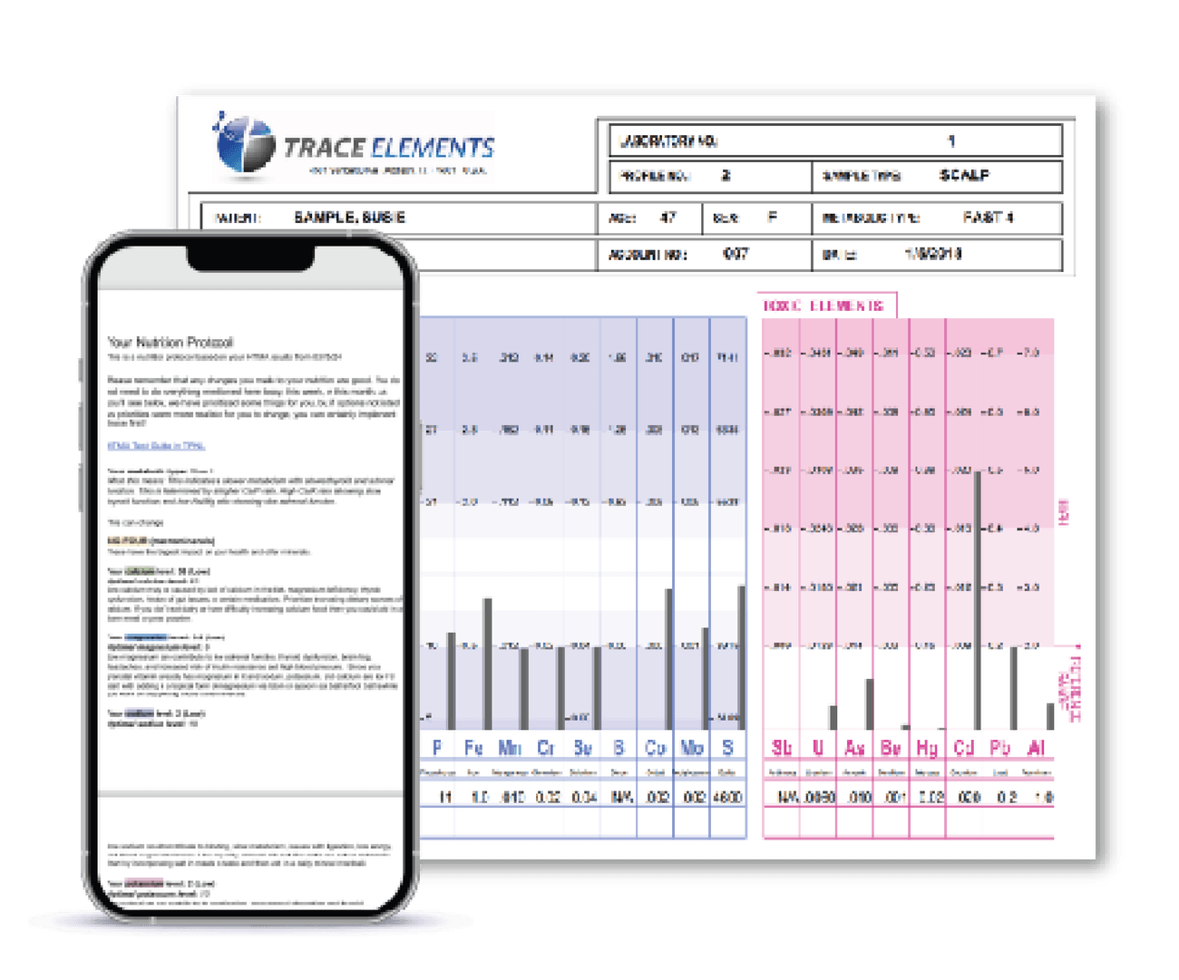 Phone and laptop showing a Trace Elements HTMA results report